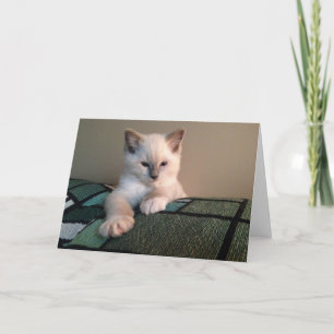 Cartão Placa de saudação de vazio