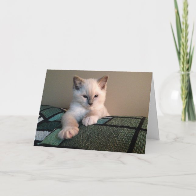 Cartão Placa de saudação de vazio (Frente)