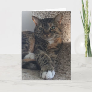 Cartão Placa de saudação de vazio