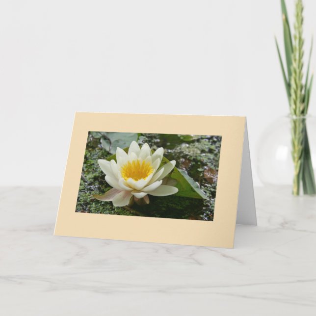 Cartão Placa de saudação de vazio (Frente)