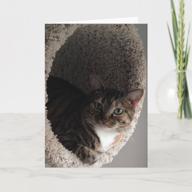 Cartão Placa de saudação de vazio (Frente)