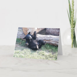 Cartão Placa de Saudação do Alaska Black Bear Cub