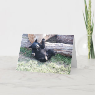 Cartão Placa de Saudação do Alaska Black Bear Cub