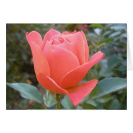 Cartão Placa de saudação do Dentro vazio