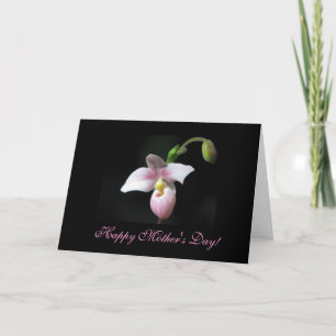 Cartão Placa de saudação do Dia de as mães Orchid