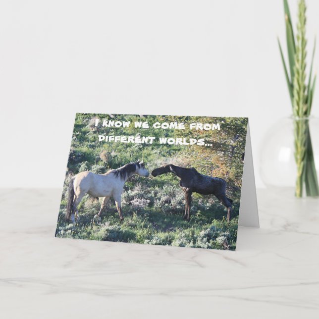 Cartão Placa de Saudação do Encontro de Moose (Frente)