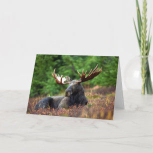 Cartão Placa de saudação do Moose