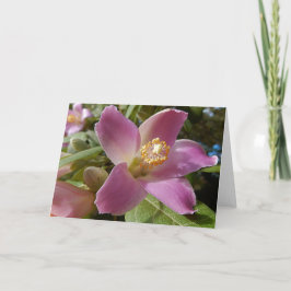 Cartão Placa de saudação do vazio - Flor da árvore em pir