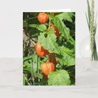 Cartão Placa de Saudação dos Lanternas Japoneses (dentro