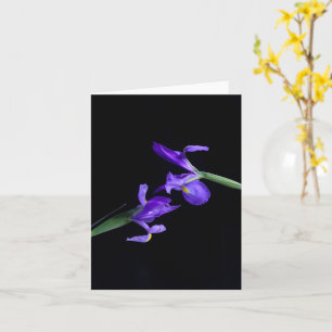 Cartão Placa de saudação Iris dupla
