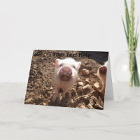 Placa de Saudação MiniPig Sutil