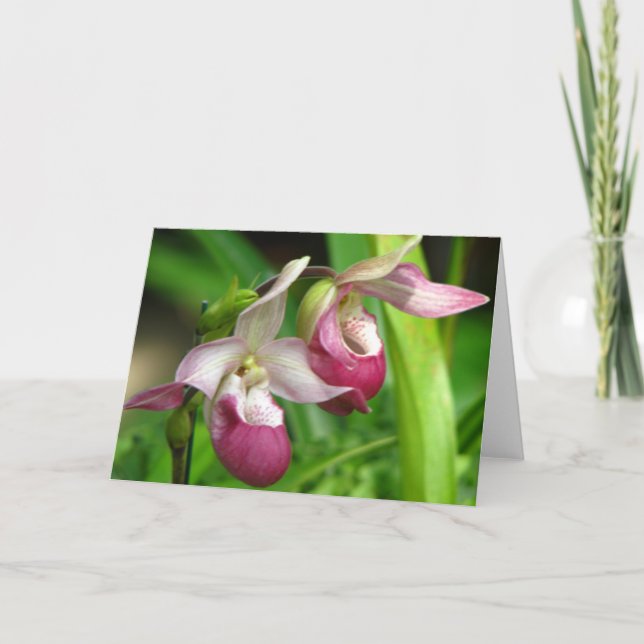 Cartão Placa de saudação Orchid (Frente)