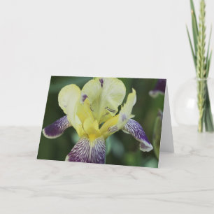 Cartão Placa de Saudação Orquídea Rara