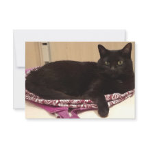 Placa de saudação plana de 3,5" x 5"