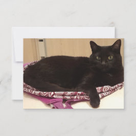 Cartão Placa de saudação plana de 3,5" x 5"