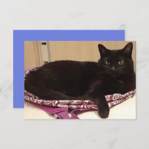 Cartão Placa de saudação plana de 3,5" x 5"