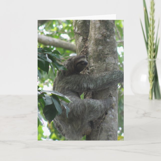 Cartão Placa de Saudação Sloth Subindo (Frente)