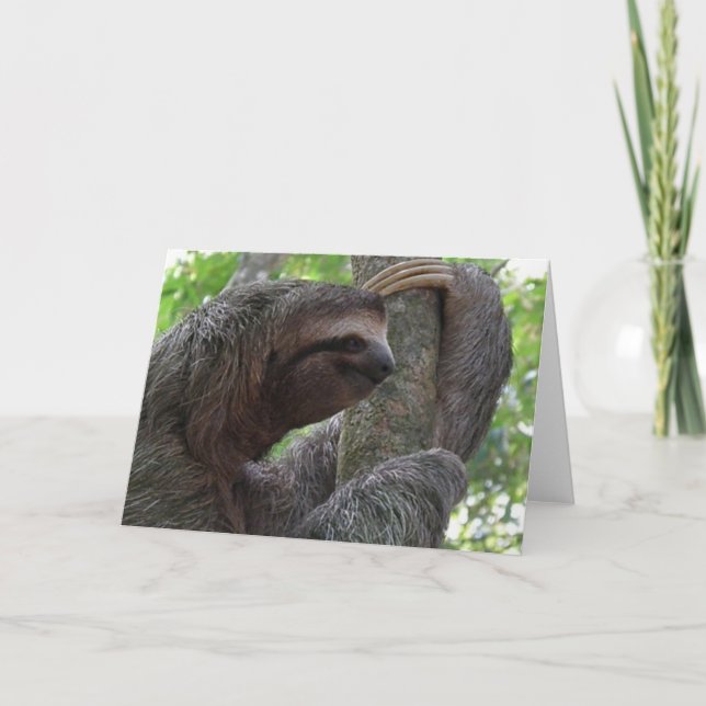 Cartão Placa de Saudação Sloth Subindo Árvore (Frente)