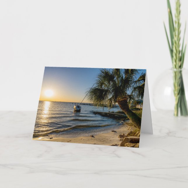 Cartão Placa de Saudação Sunset da Árvore de Palma da Fló (Frente)
