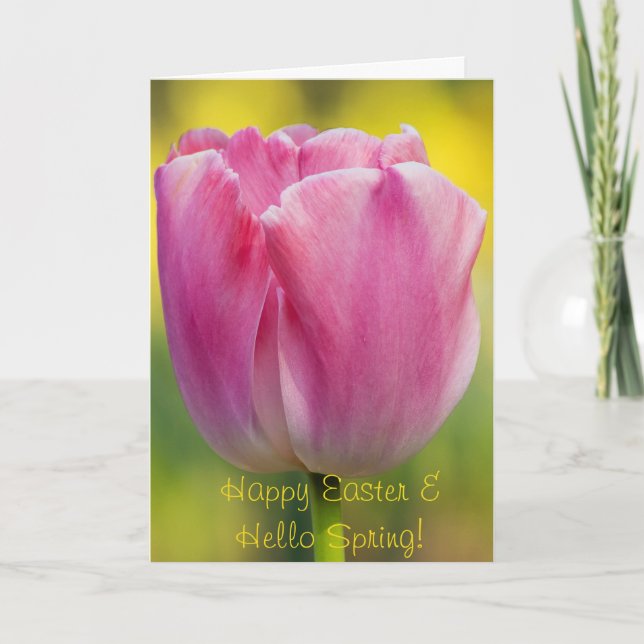 Cartão Placa de Saudação Tulip Rosa primavera (Frente)
