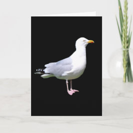 Cartão Placa de saudações de texto adicionado em pé à gai