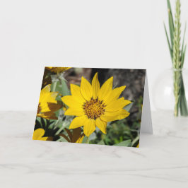 Cartão Placa de segurança Arroknaf Balsamroot