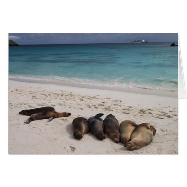 Cartão Placa de selo (Frente Horizontal)