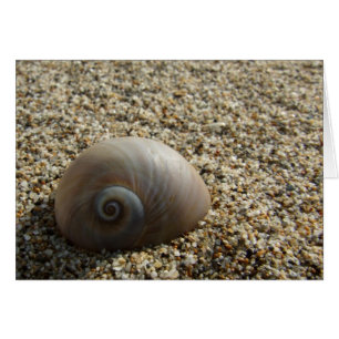 Cartão Placa de Shell do Mar