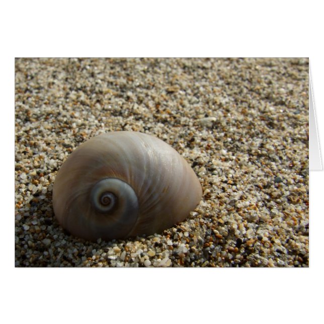 Cartão Placa de Shell do Mar (Frente Horizontal)