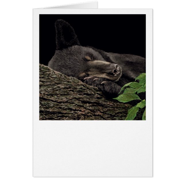 Cartão Placa de Urso "Tempo de Nap" (Frente)