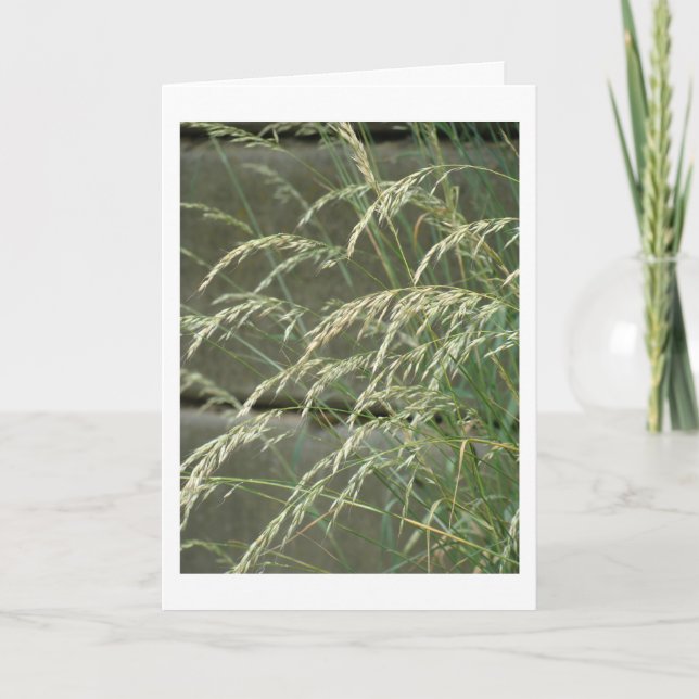 Cartão Placa de vazio (Frente)