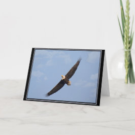 Cartão Placa de VAZIO Bald Eagle em alta velocidade