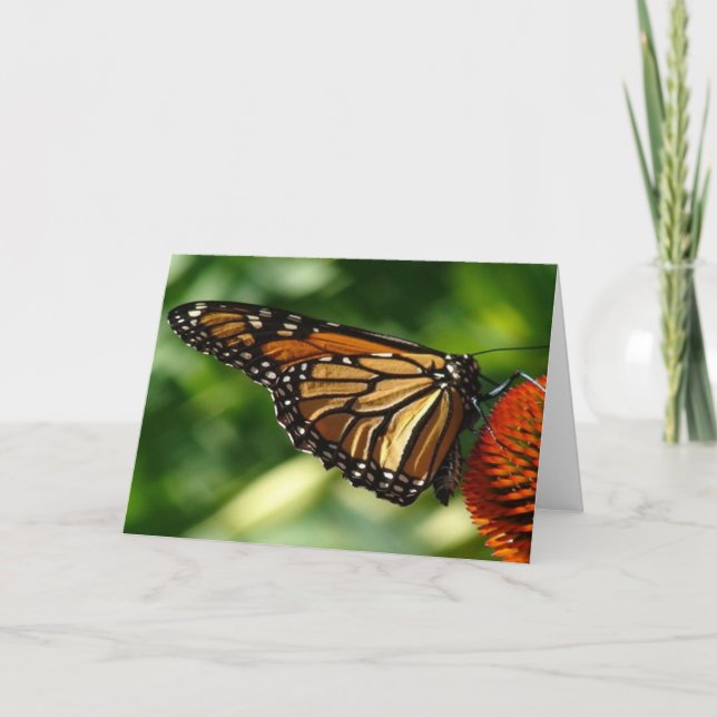 Cartão Placa de Vazio borboleta (Frente)