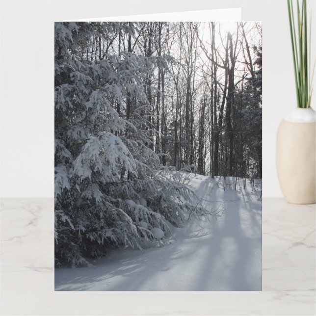 Cartão Placa de Vazio da Manhã de Inverno Fria (Frente)