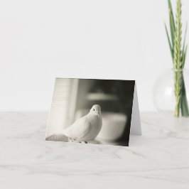 Cartão Placa de Vazio da porta