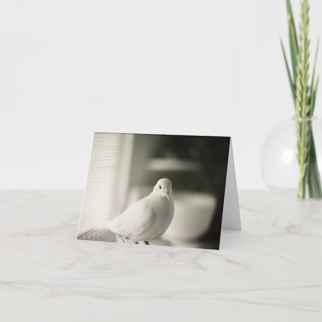 Cartão Placa de Vazio da porta (Frente)