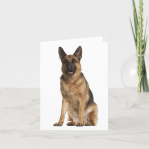 Cartão Placa de Vazio de Cachorro german shepherd