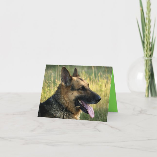 Cartão Placa de Vazio de Cachorro german shepherd (Frente)