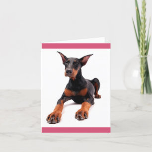 Cartão Placa de Vazio de Cão Doberman Pinscher Puppy Dog