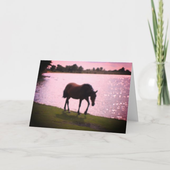 Cartão Placa de Vazio de Cavalo e Lago Sunny (Frente)