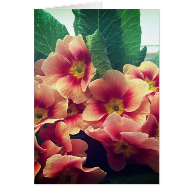 Cartão Placa de Vazio de Flor Laranja (Frente)