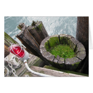 Cartão Placa de Vazio de Grama Vermelha e Verde