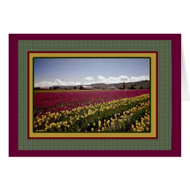 Cartão Placa de Vazio do Campo Tulip (Frente Horizontal)