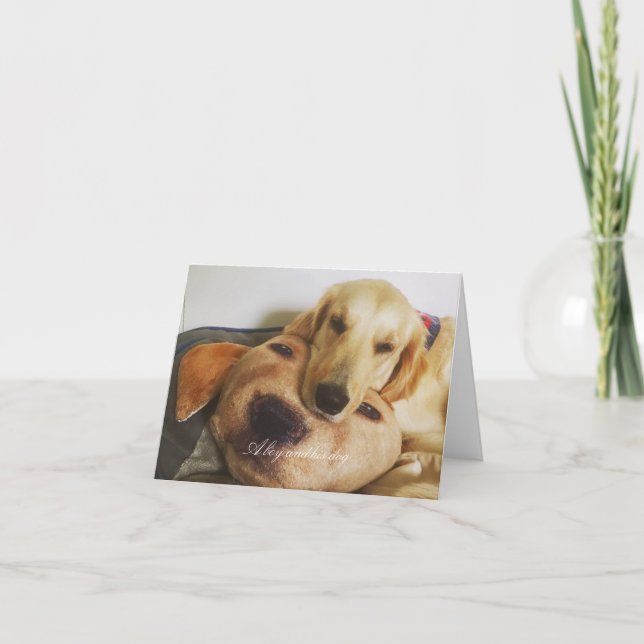 Cartão Placa de vazio e ouro (Frente)