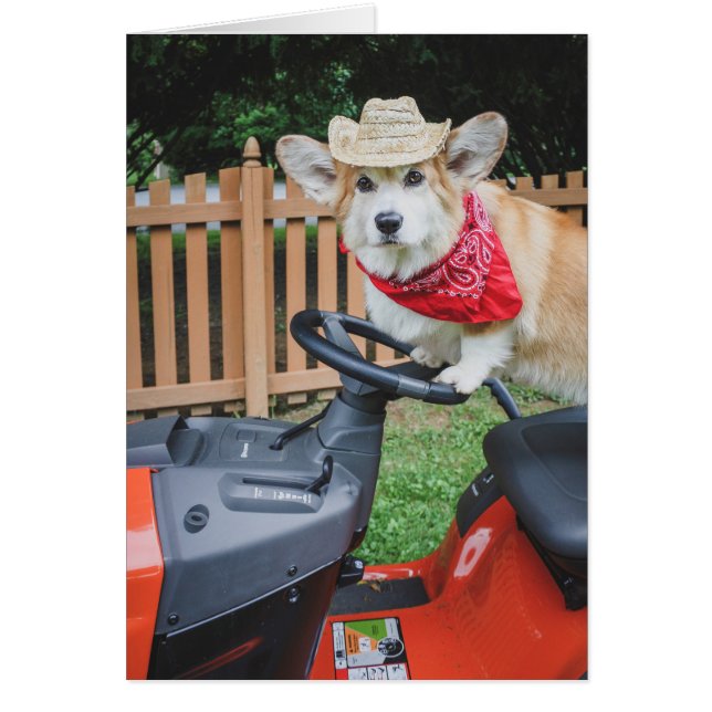 Cartão Placa de vazio Farmer Corgi (Frente)