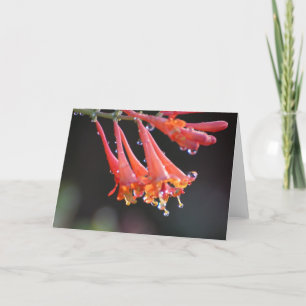 Cartão Placa de vazio - Modo de exibição da manhã