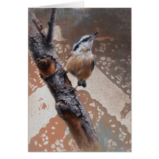 Cartão Placa de Vazio Nuthatch por Andrew Denman