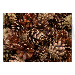 Cartão Placa de Vazio Pine Cones