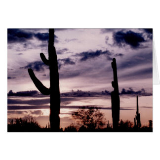 Cartão Placa de vazio - Saguaro ao pôr do sol