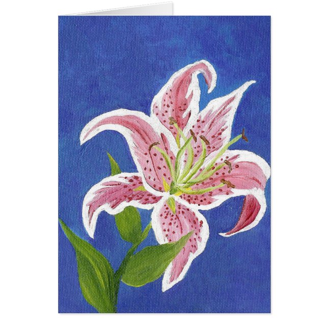 Cartão Placa de Vazio Stargazer Lily (Frente)